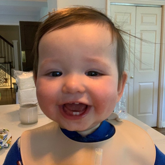 Meet your Posher, Holly - Picture 1 of 1